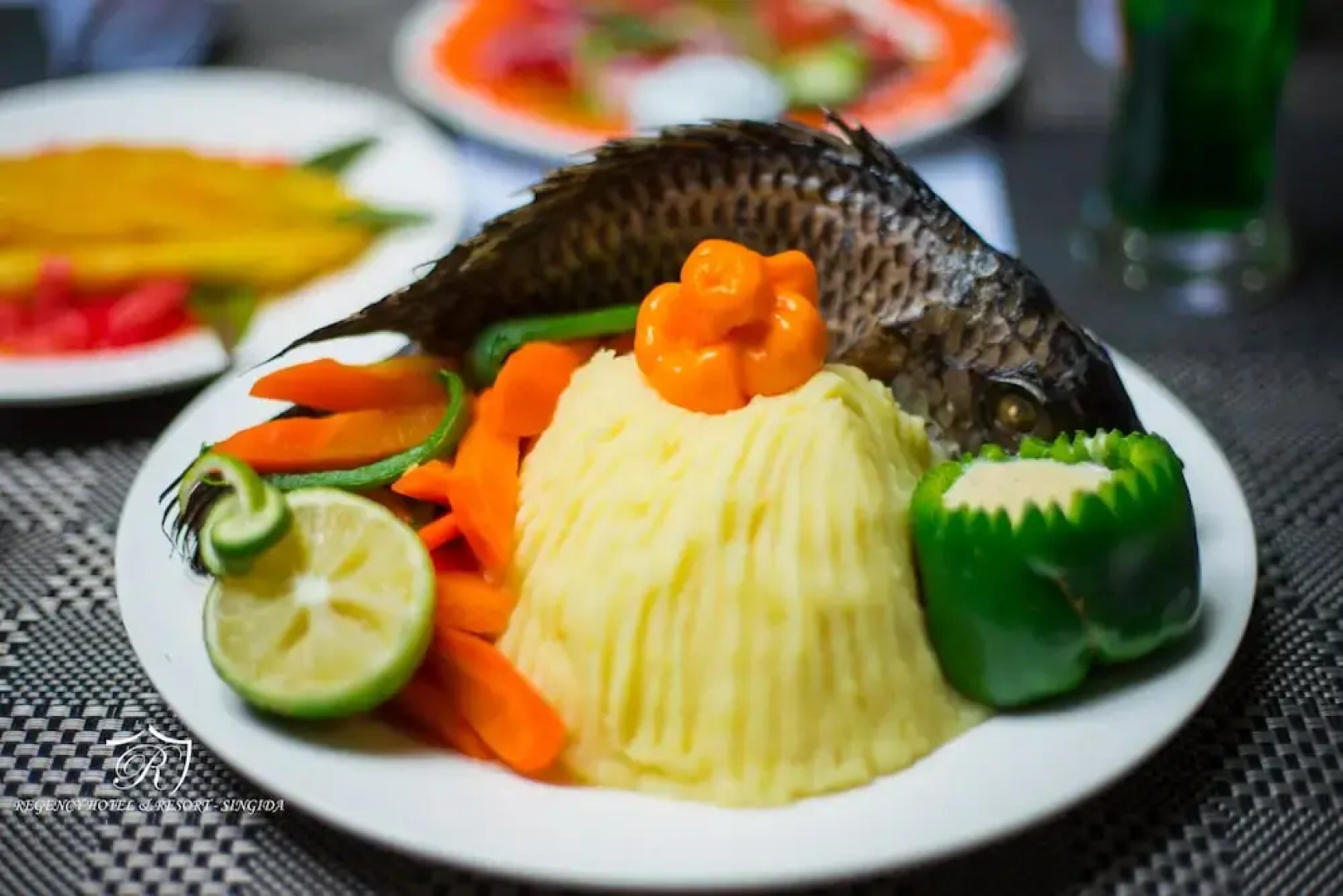 Regency Hotel & Resort - Singida