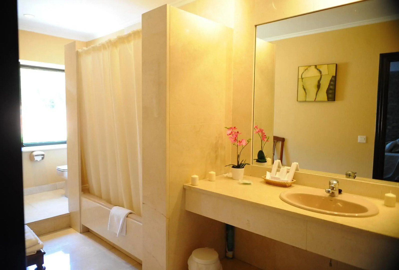 Nuevo San Román de Escalante