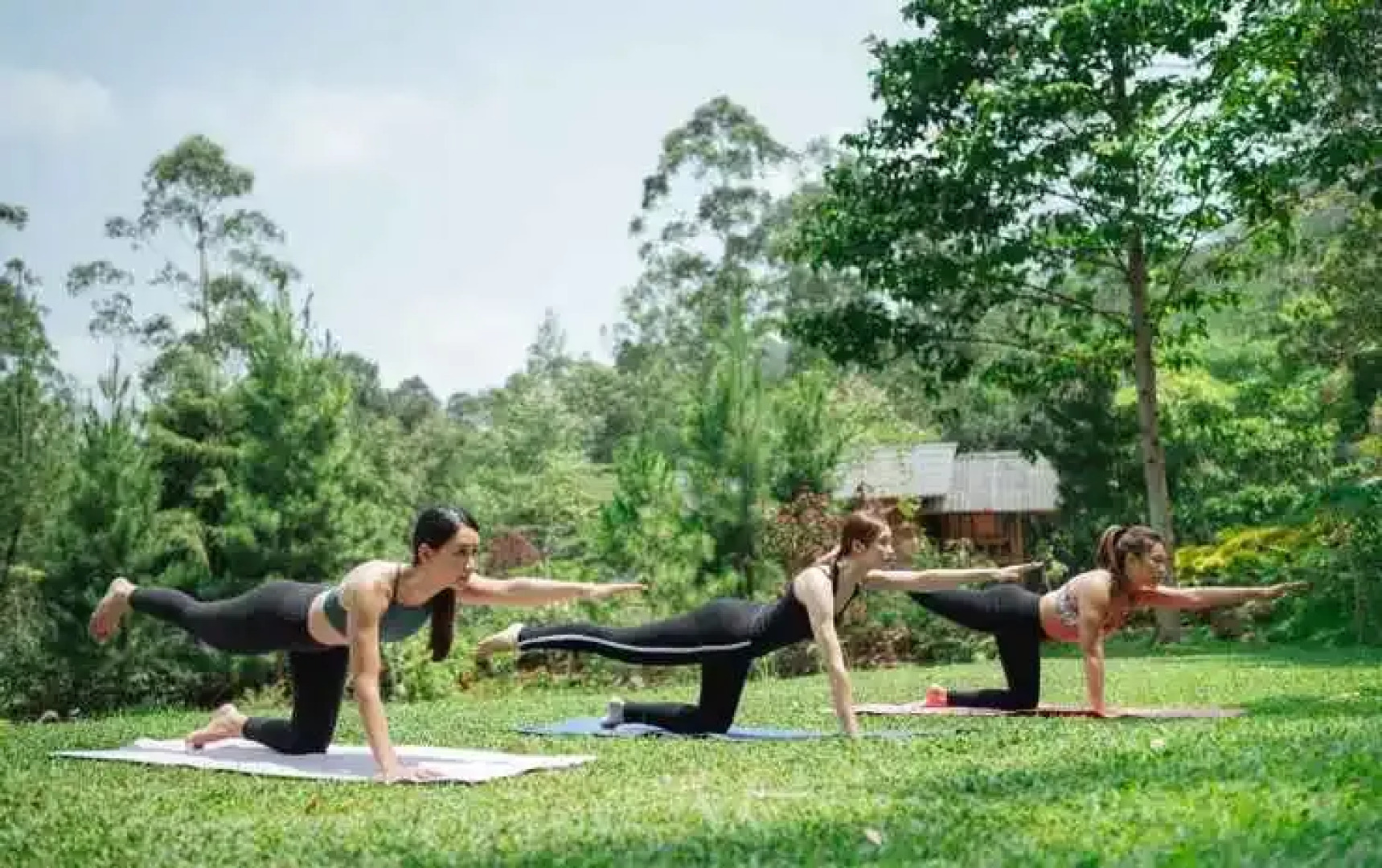 Log Home Villa Taman Wisata Bougenville