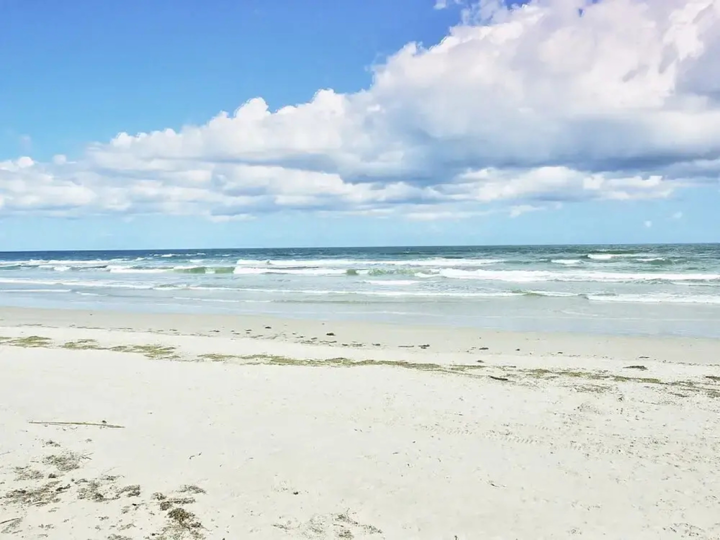 4495 S. Atlantic Ave #306s 2/2 Ocean Front