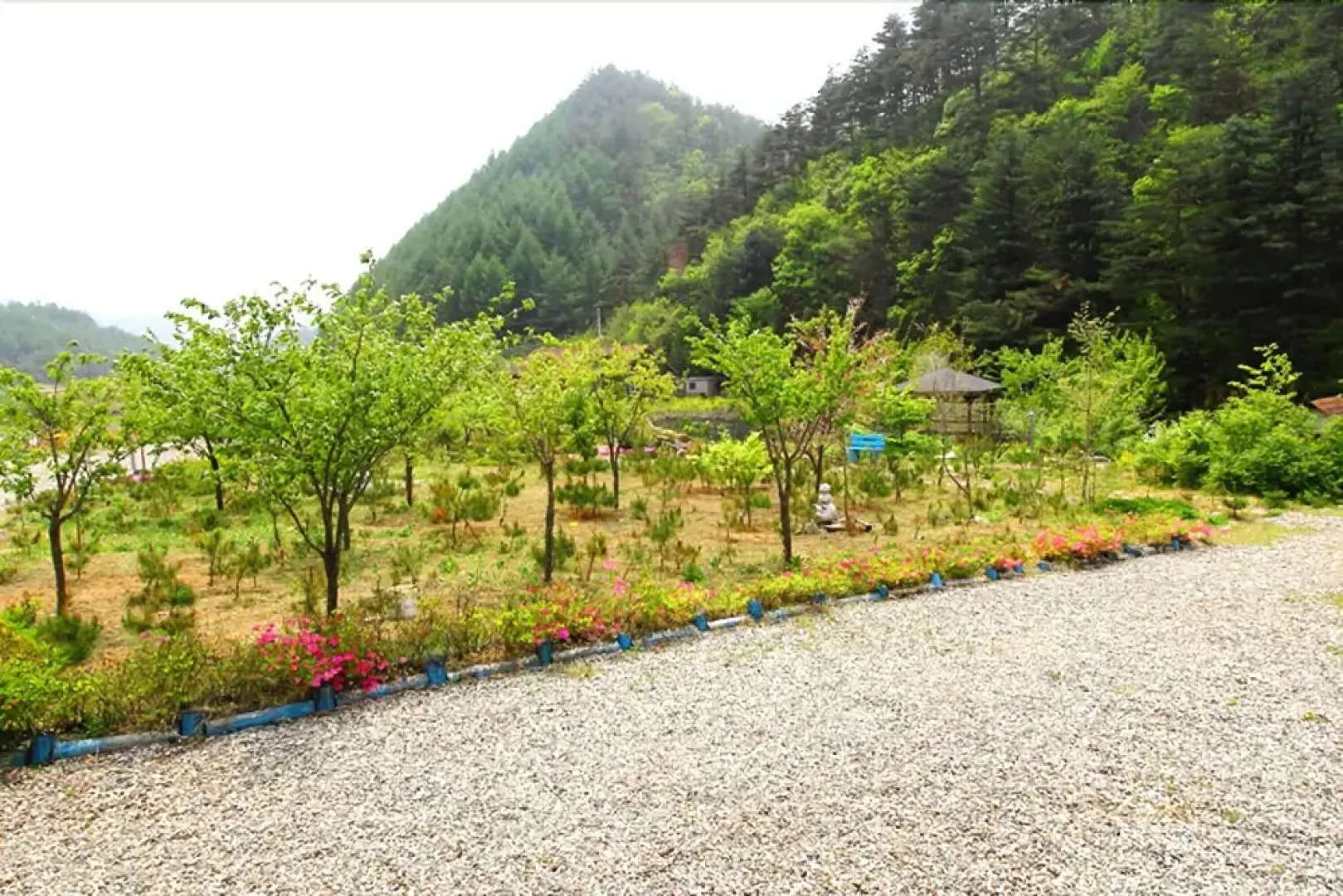 Jeongseon Click Pension