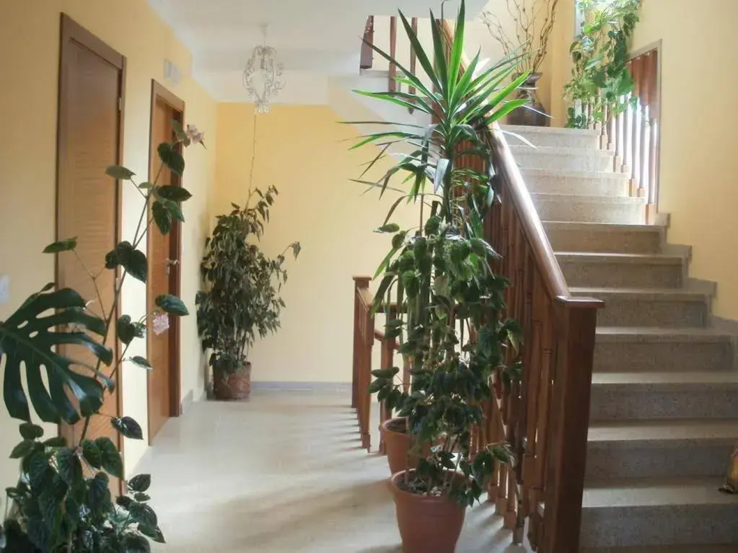 Pensión Rústica As Cobas