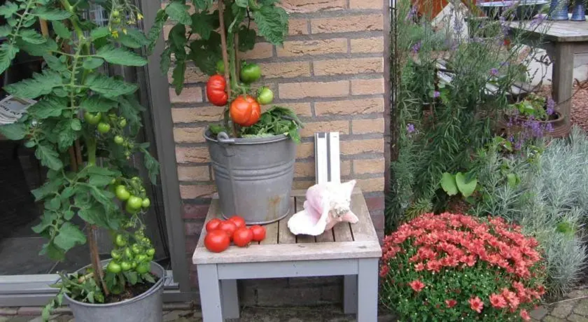 B&B Bed en Brochje Hoogland