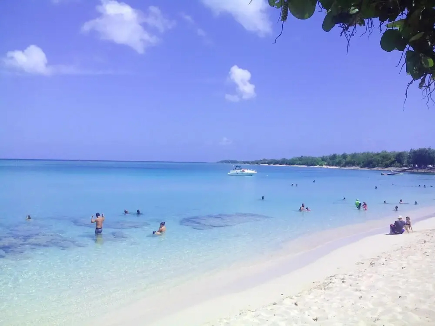 House With 2 Bedrooms in Petit-bourg, With Wonderful Mountain View, Enclosed Garden and Wifi