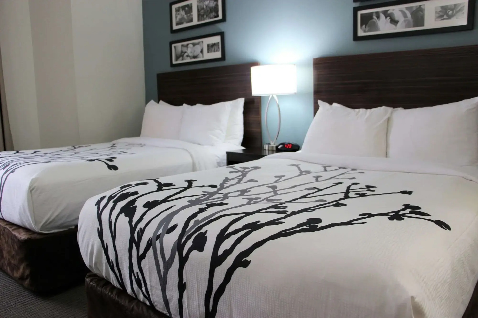 Sleep Inn Chattanooga Hamilton Place