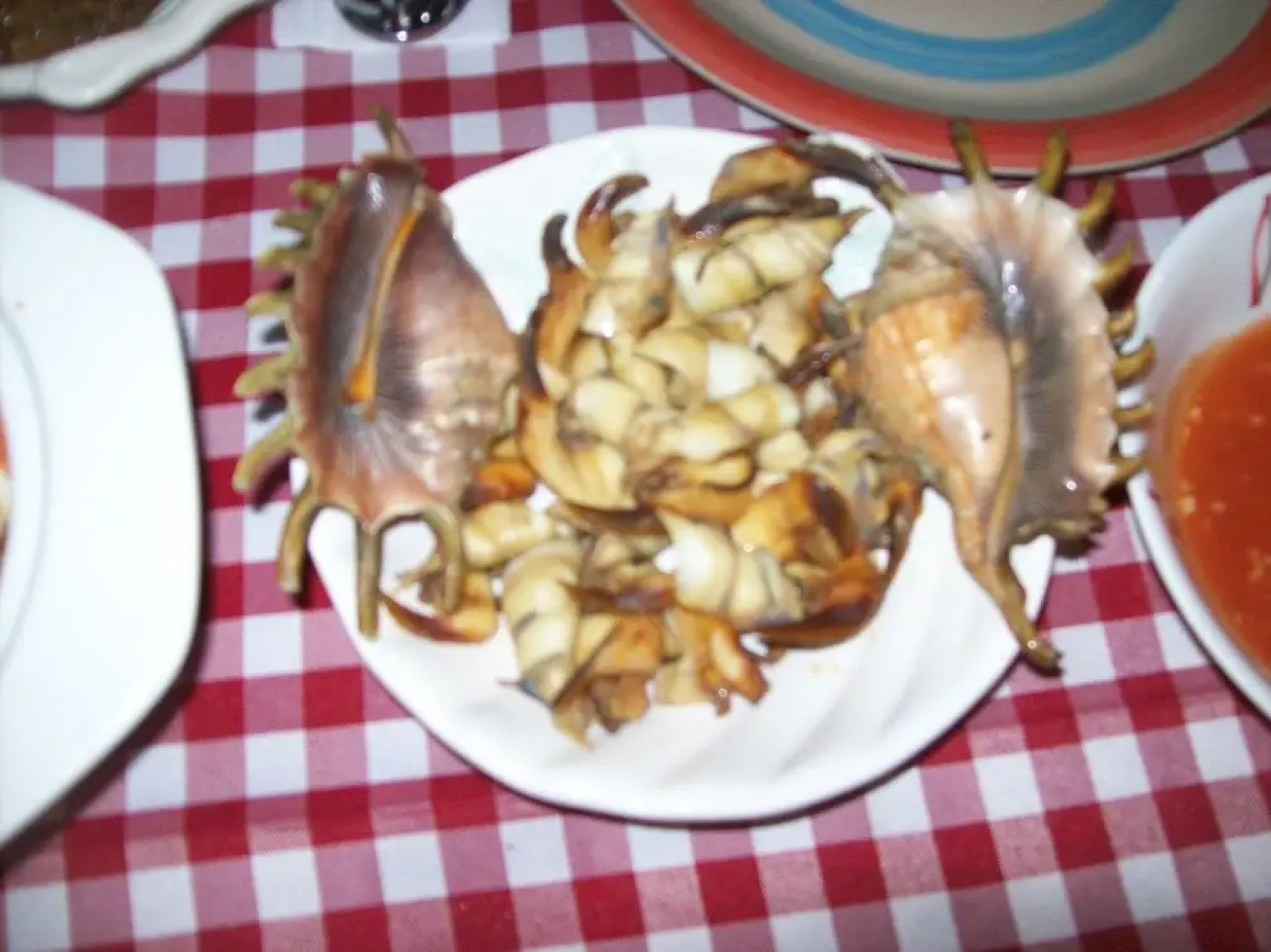 Rene's Diverslounge Resort