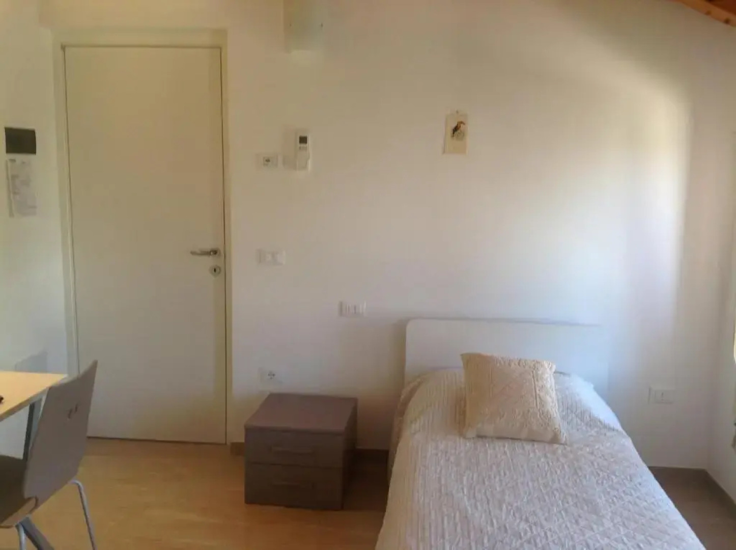 Boschetto di Campagna