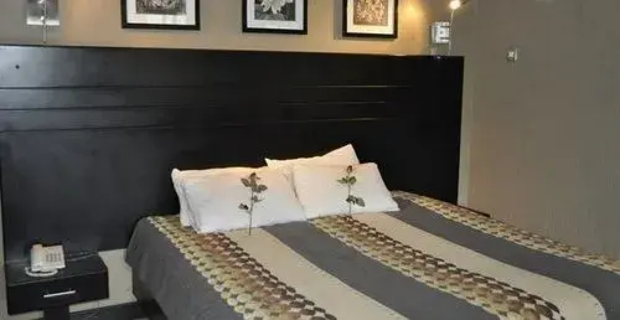 Pacific Hotel and Conferences