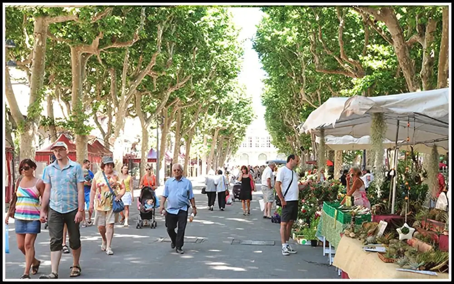 Béziers Studio Terrasse