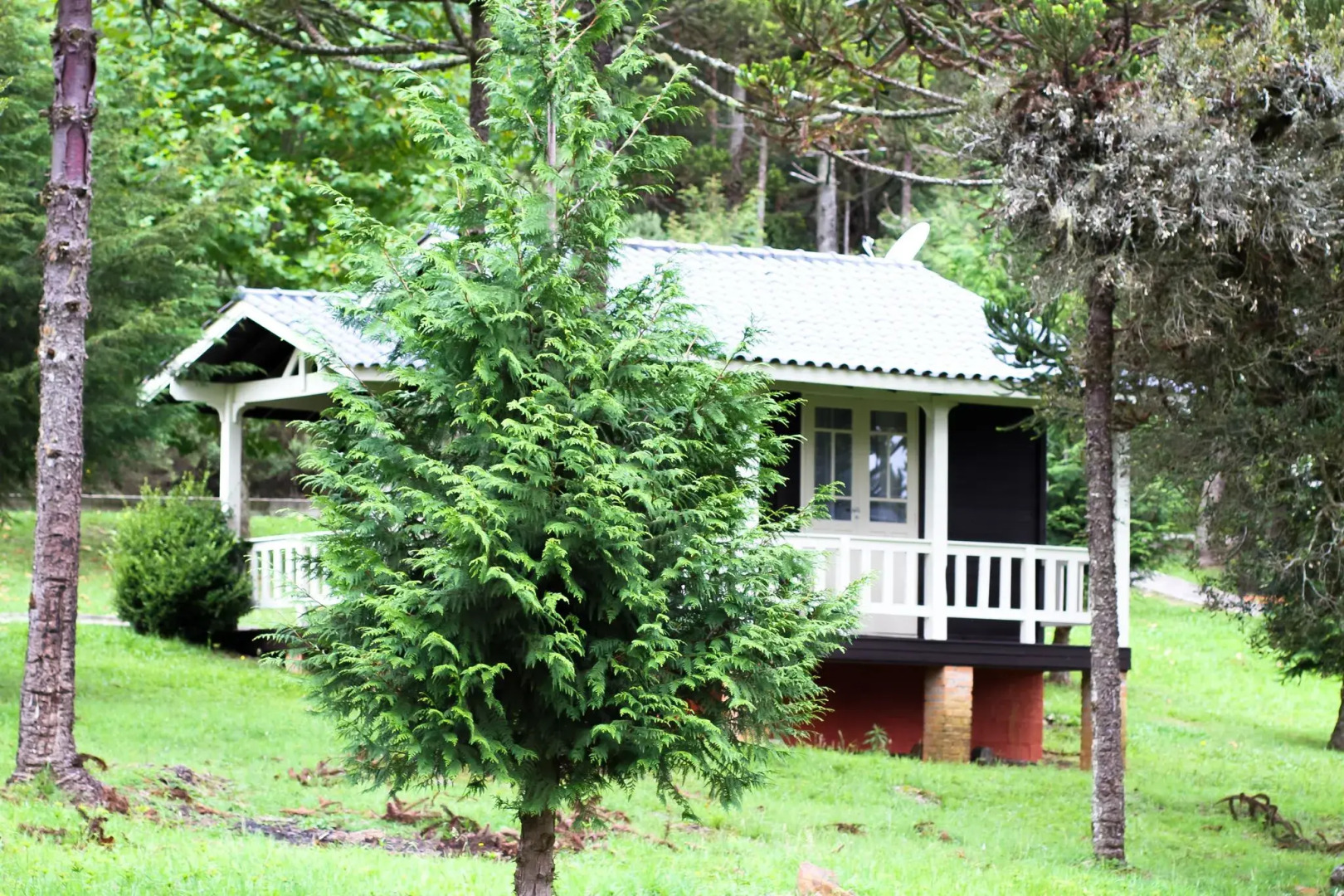 Pousada Fazenda Pedra Preta