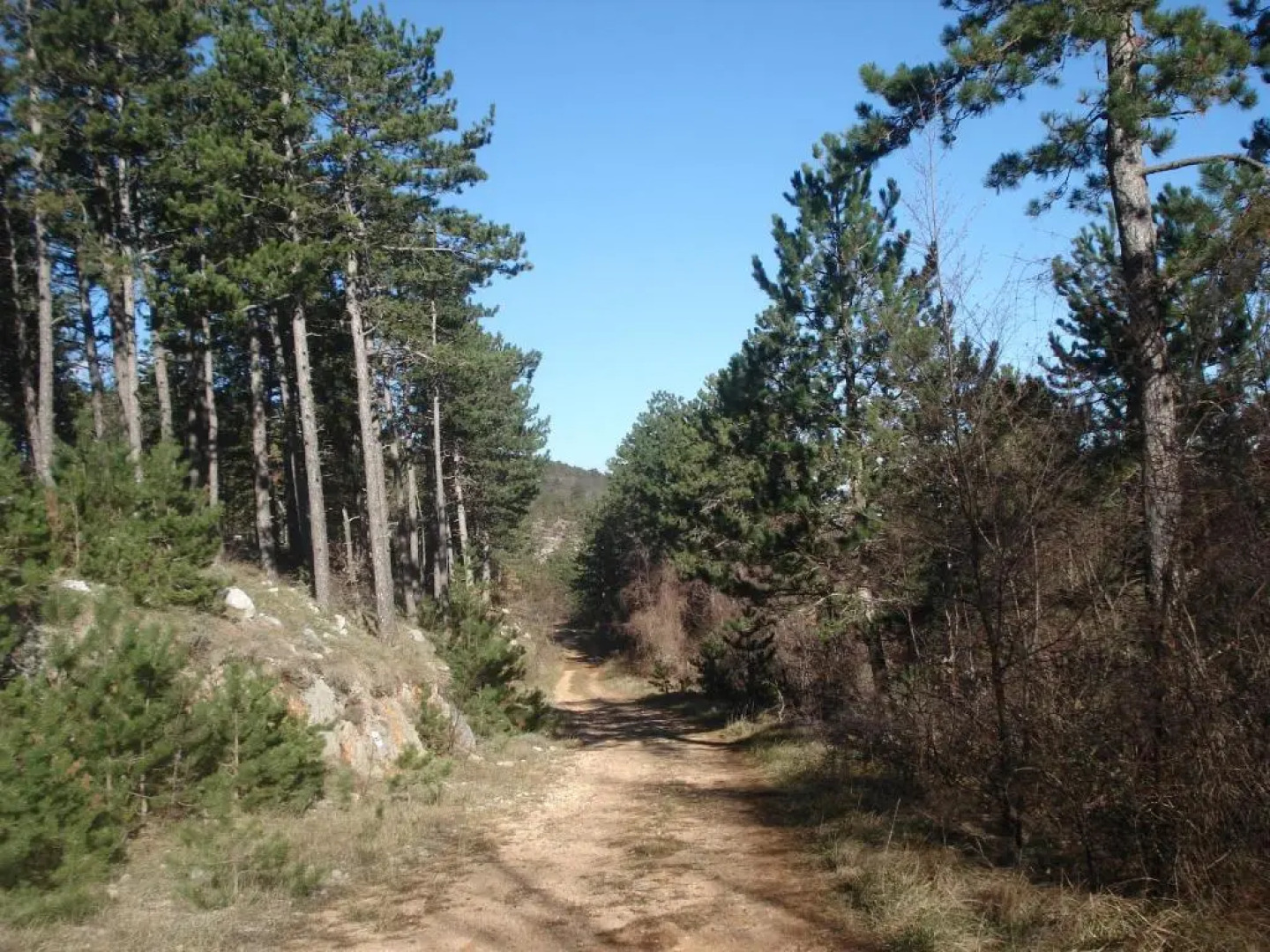 Guesthouse Villa AnnaDora