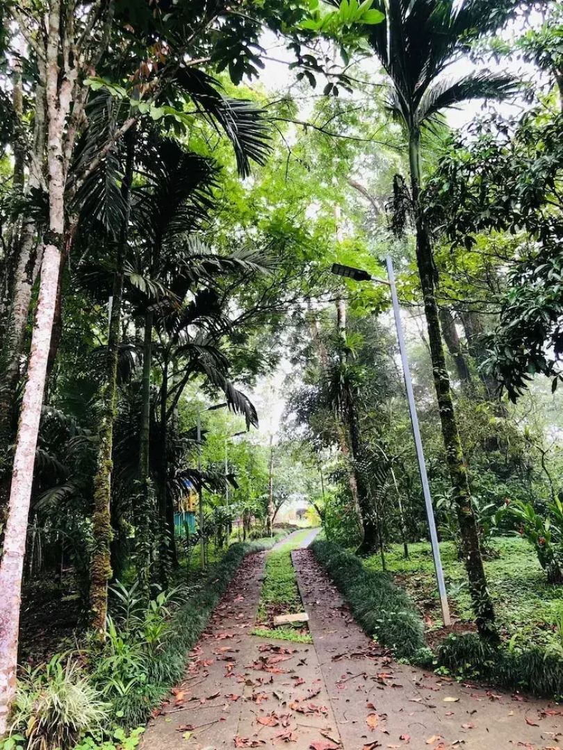 Avita Lodge Hotel de Montaña