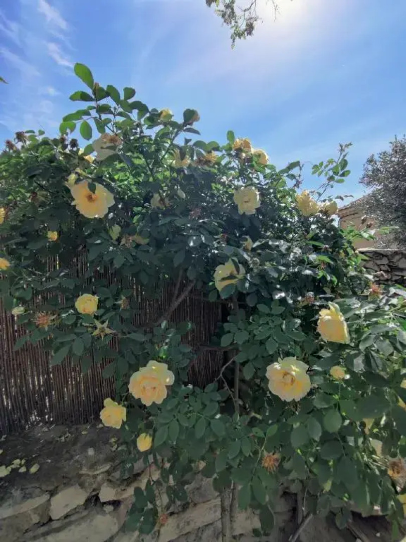 Suite privee Tavel - Le Mas de l Acacia