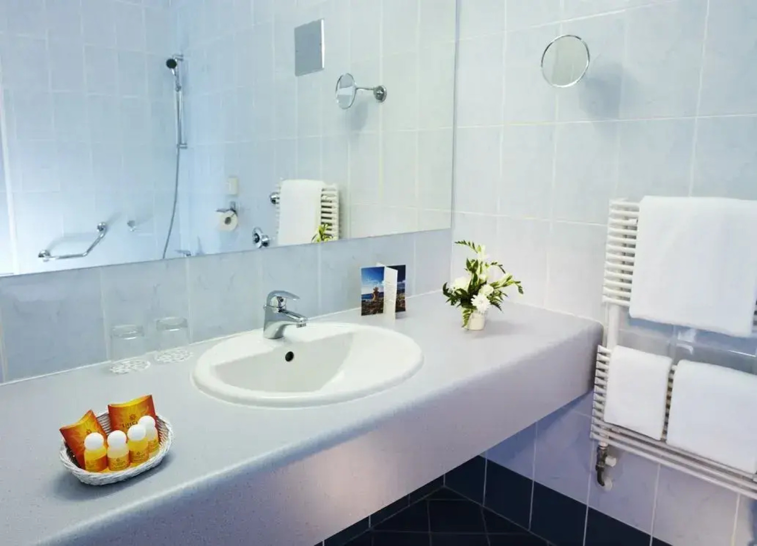 Hotel Mirna – Lifeclass Hotels & Spa, Portorož