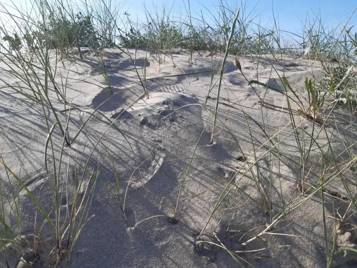 Appt 40m2 Résidence 3*** 10mn plages