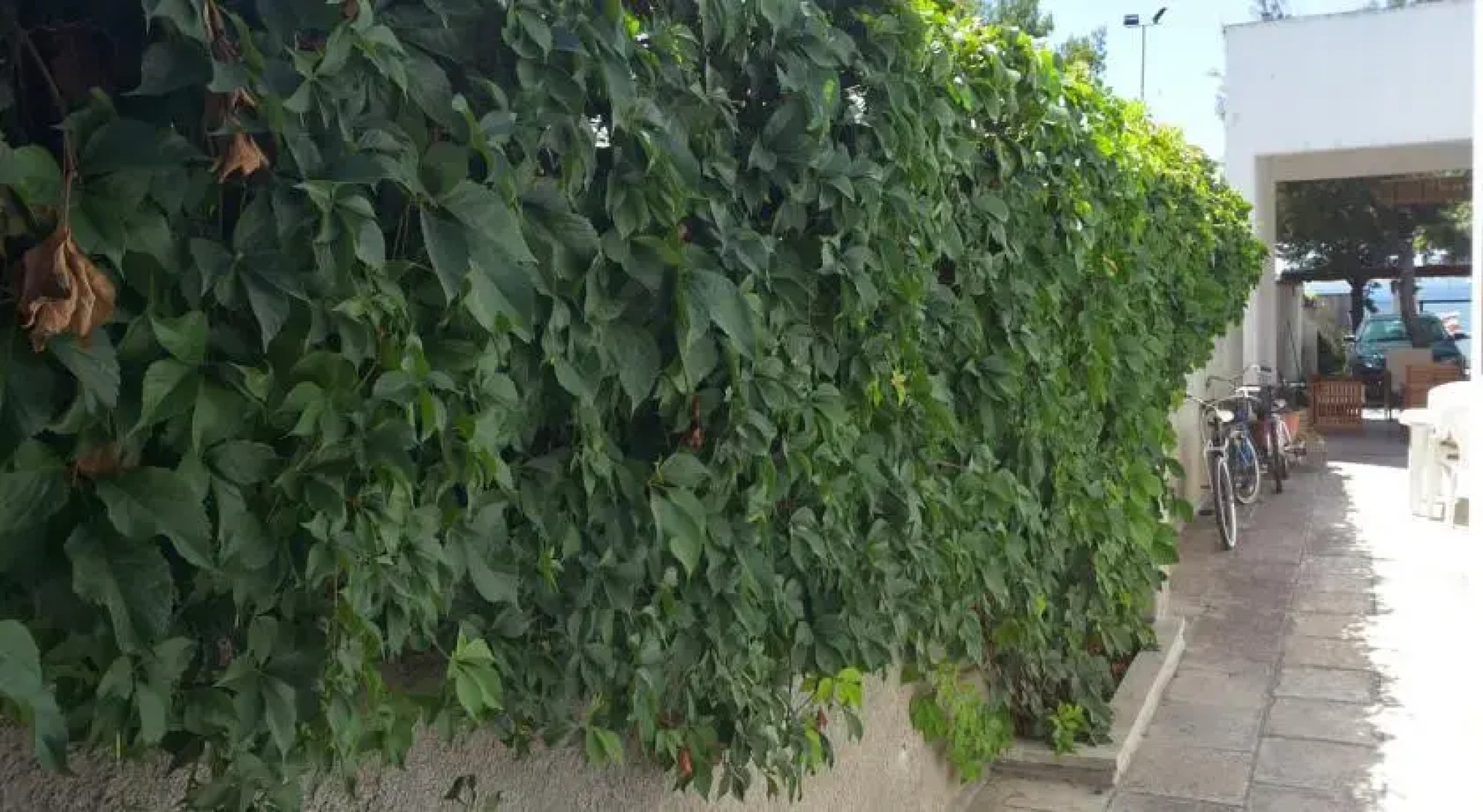 C Cinque Porto Cesareo