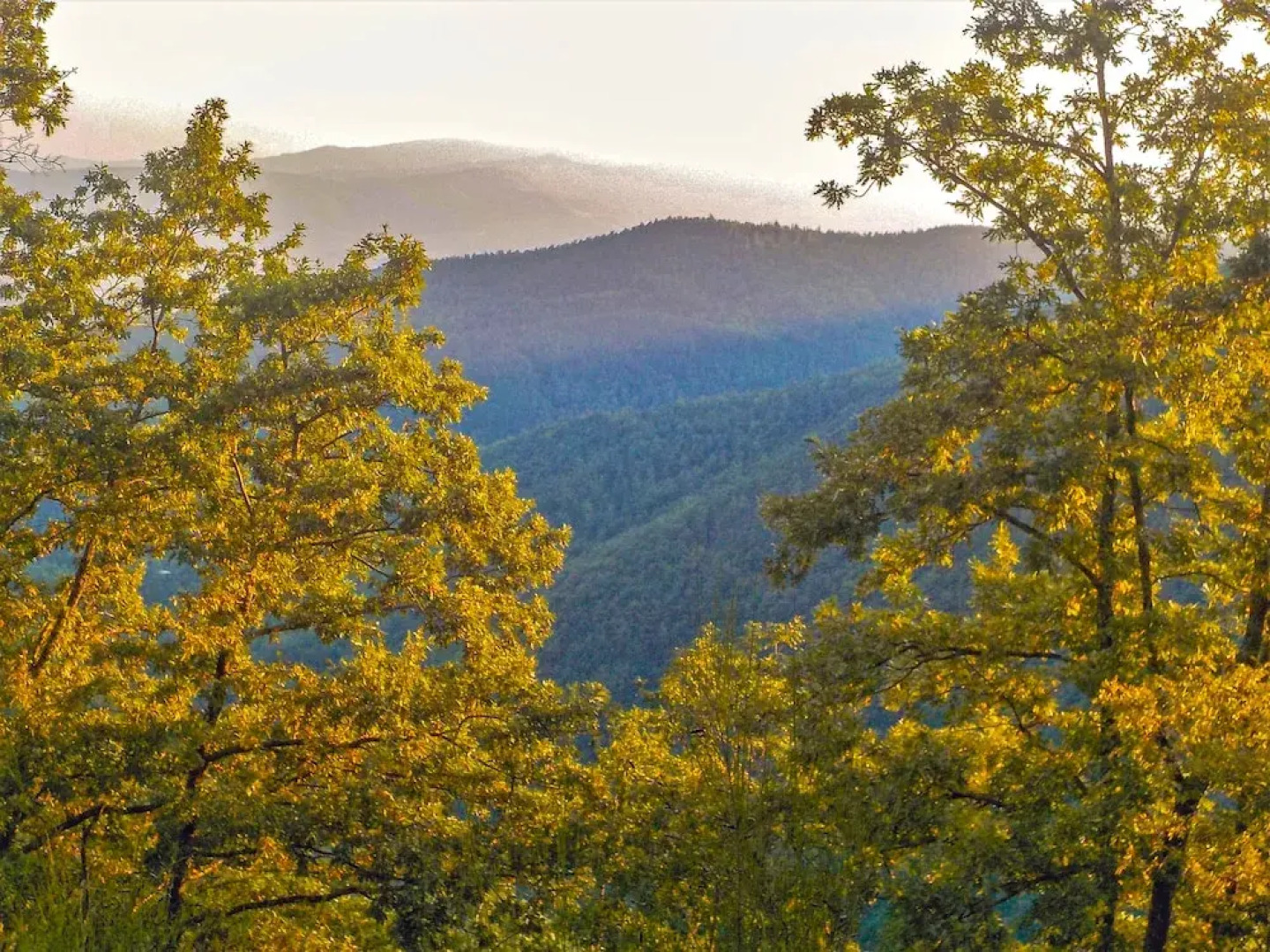 Bio Agriturismo il Vigno