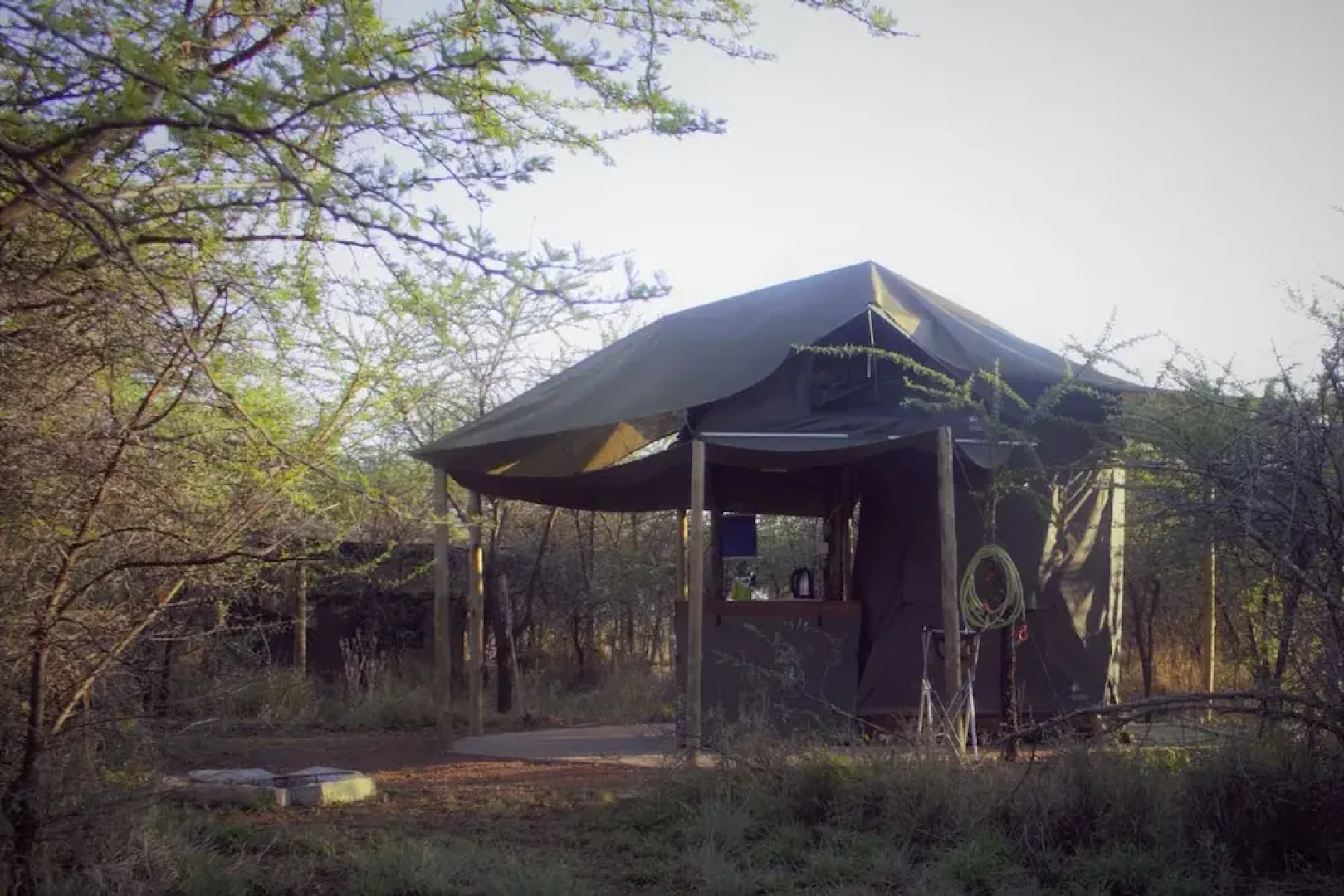 Thorn Tree Bush Camp