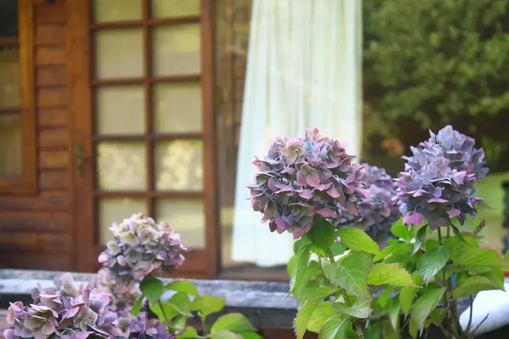 Cabañas Playa Linda