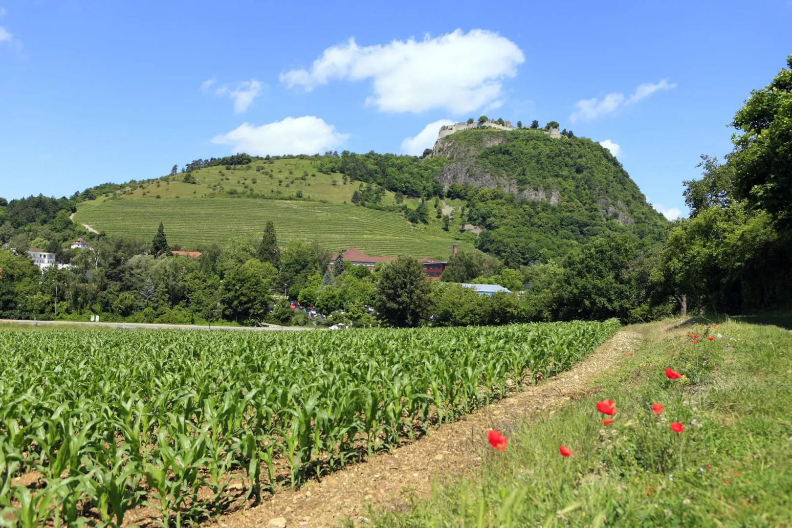 Best Western Hotel Lamm