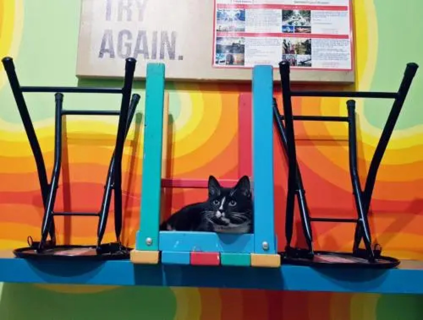 Тапок Хостел