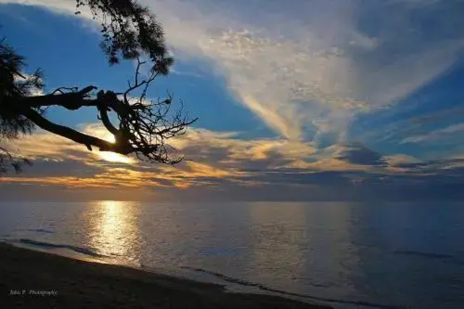 Sirines Studios And Apartments