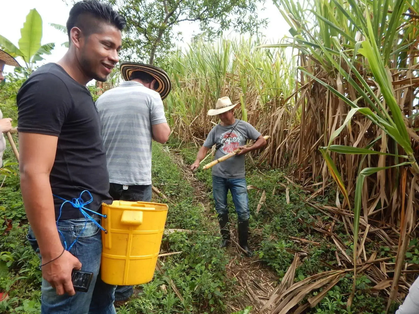 Finca Hotel La Rivera