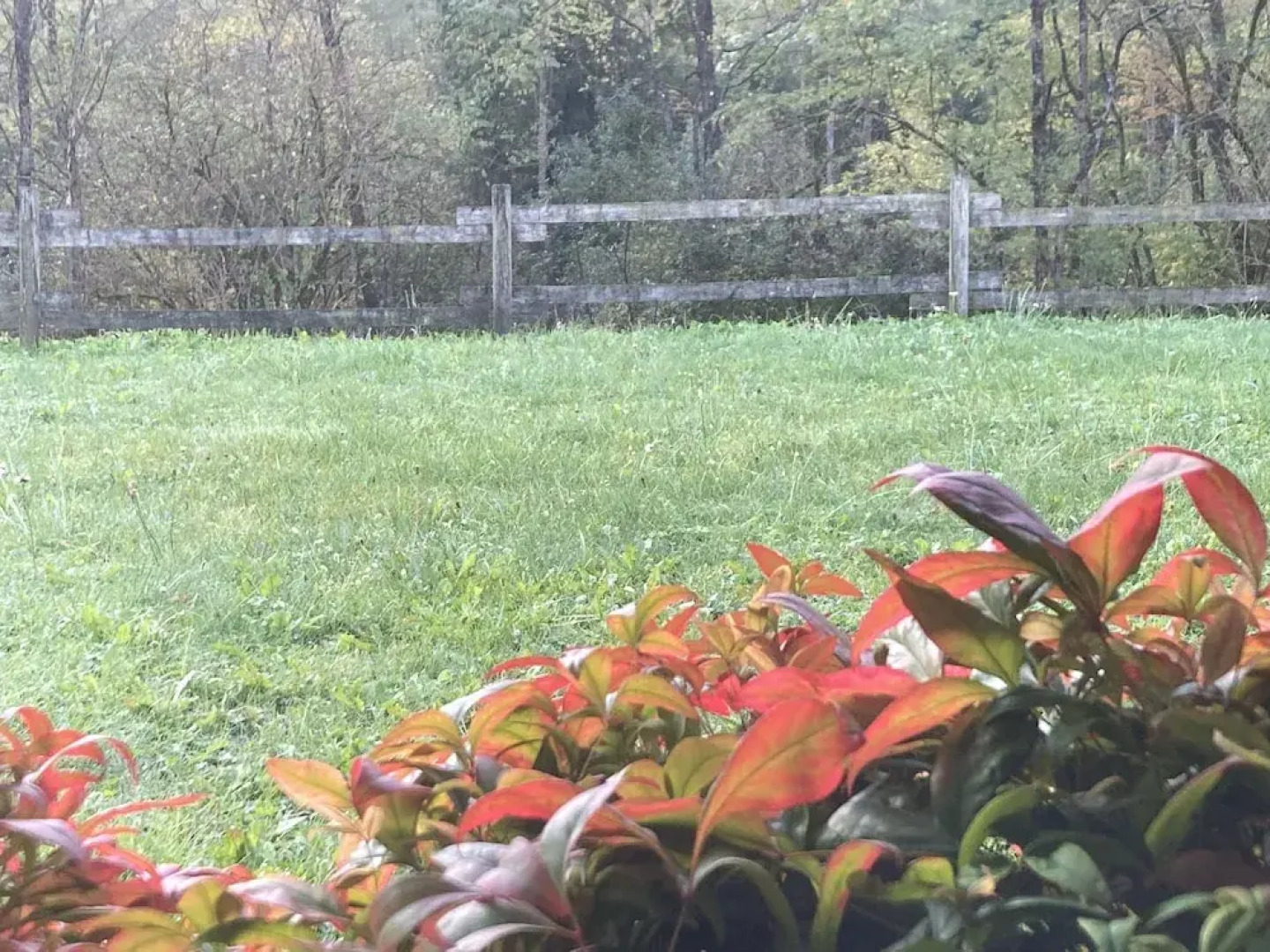 Albergo Ristorante Lis Aganis