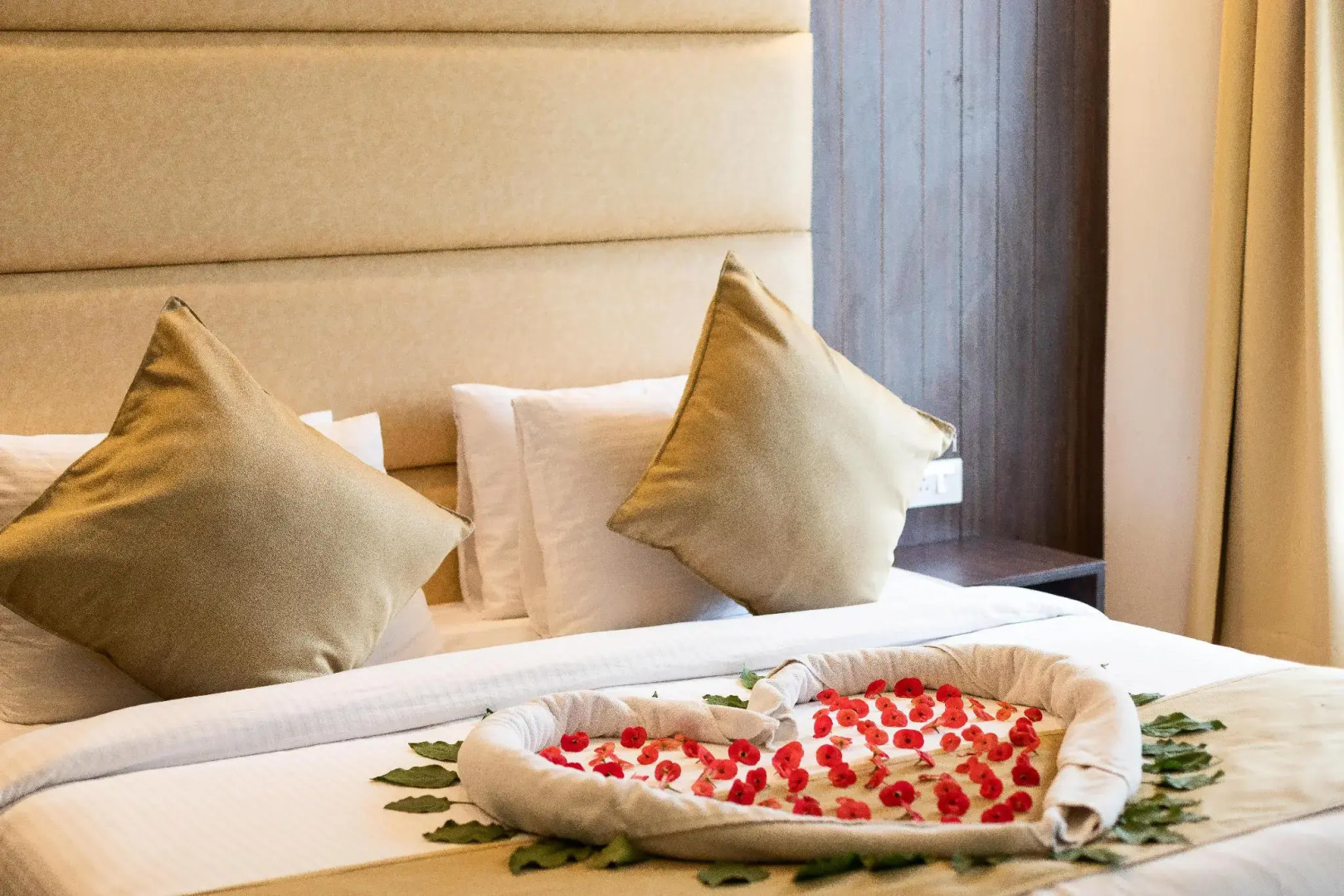 Pride Premier Solitaire Dehradun