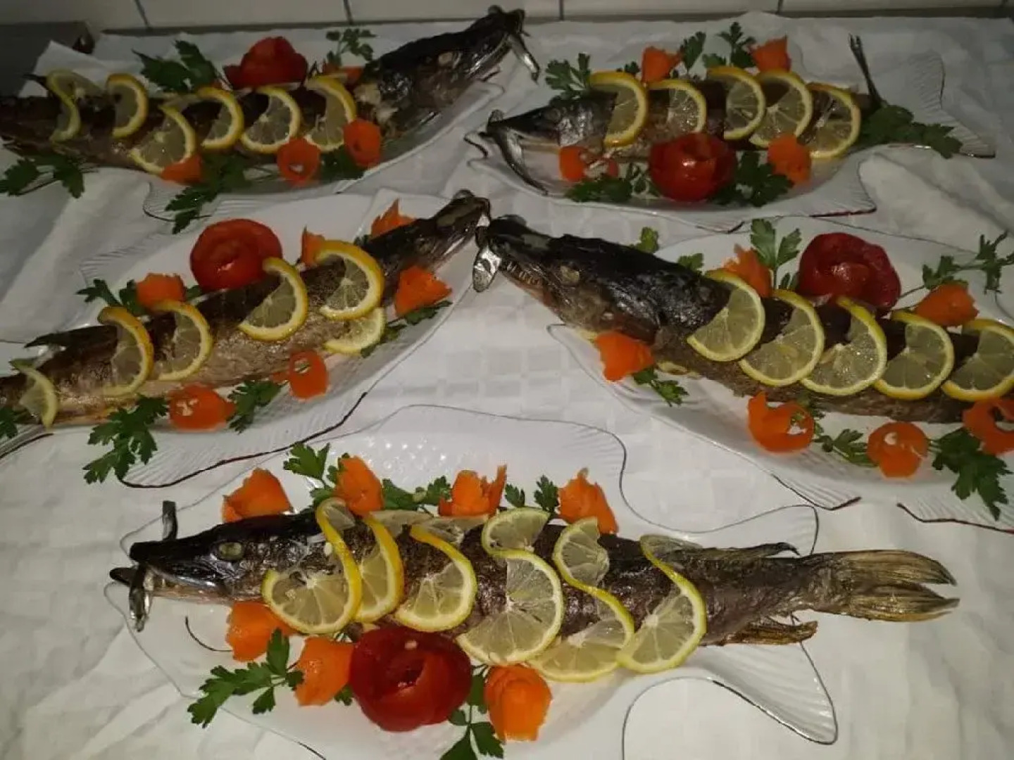 Insula Nada Apelor - Maliuc