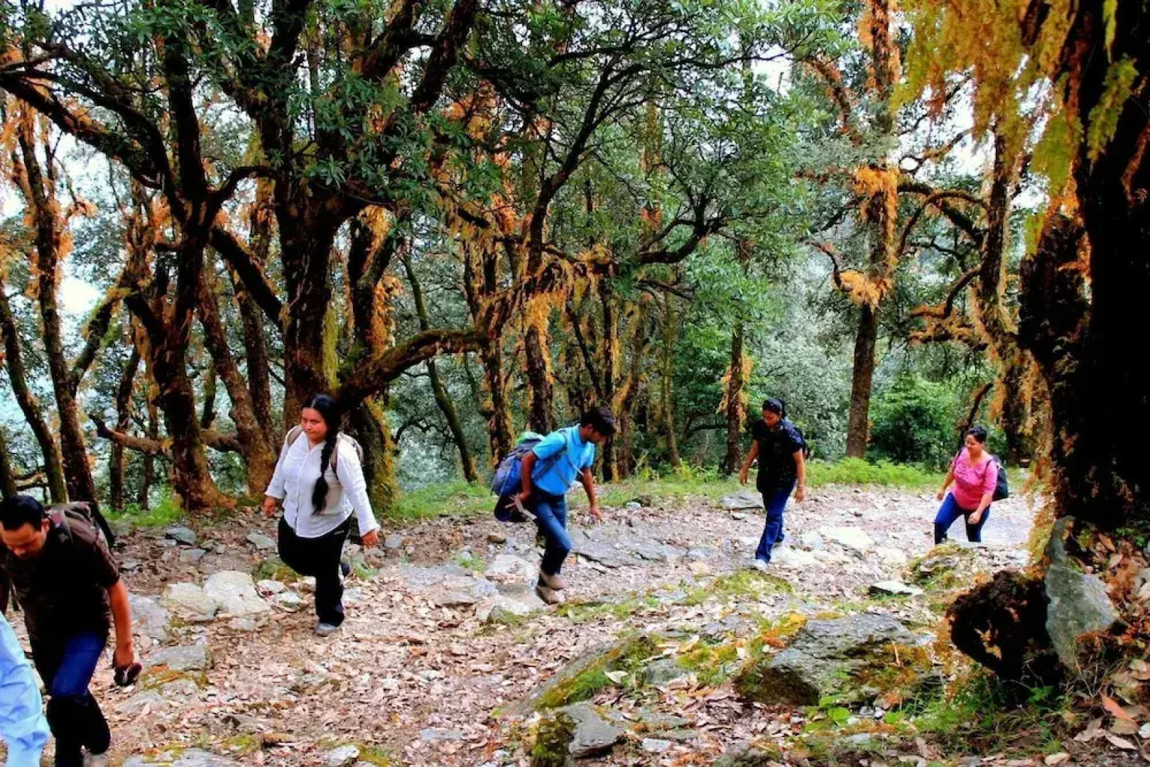 Billing Vista Guest House