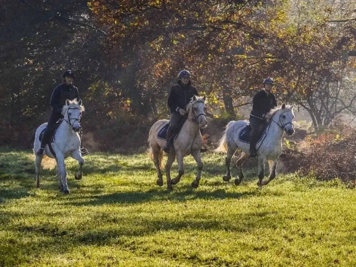 Au Charme du Lac Piscine & Spa 2