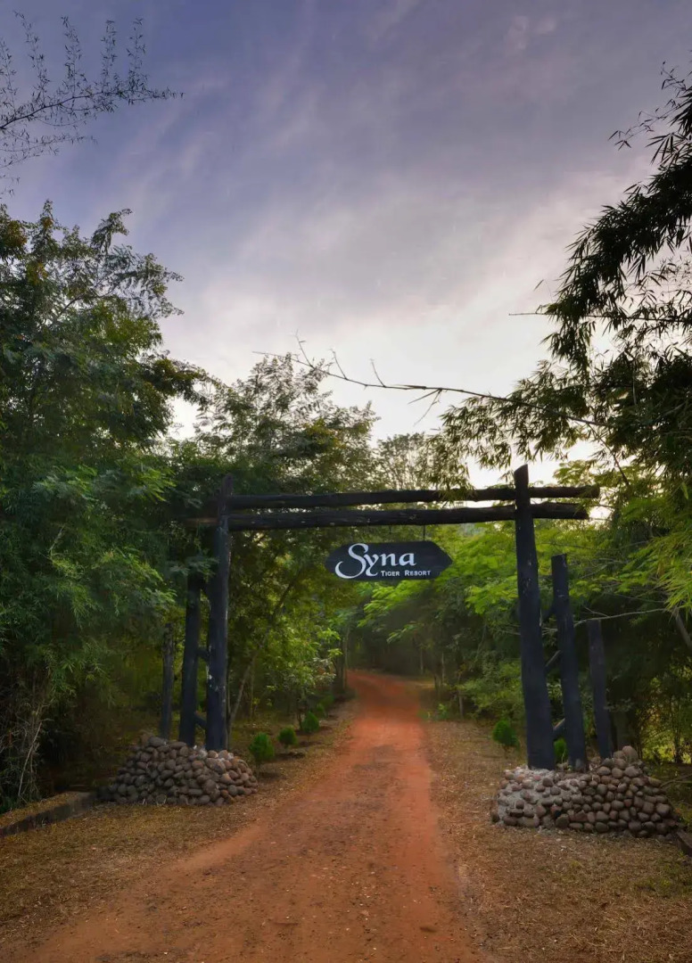 Syna Tiger Resort - Bandhavgarh