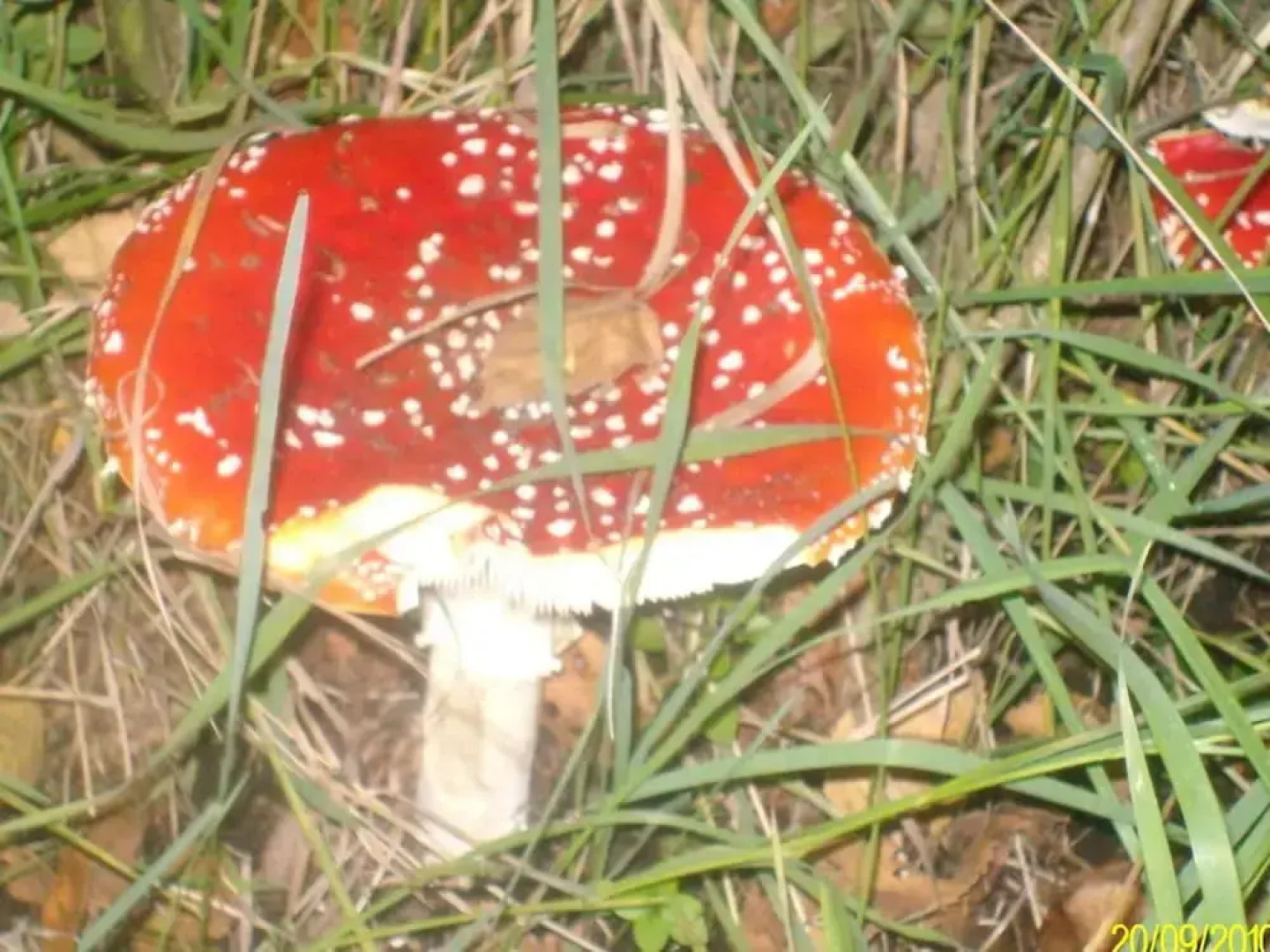 Quiet Glade Stay With Kid