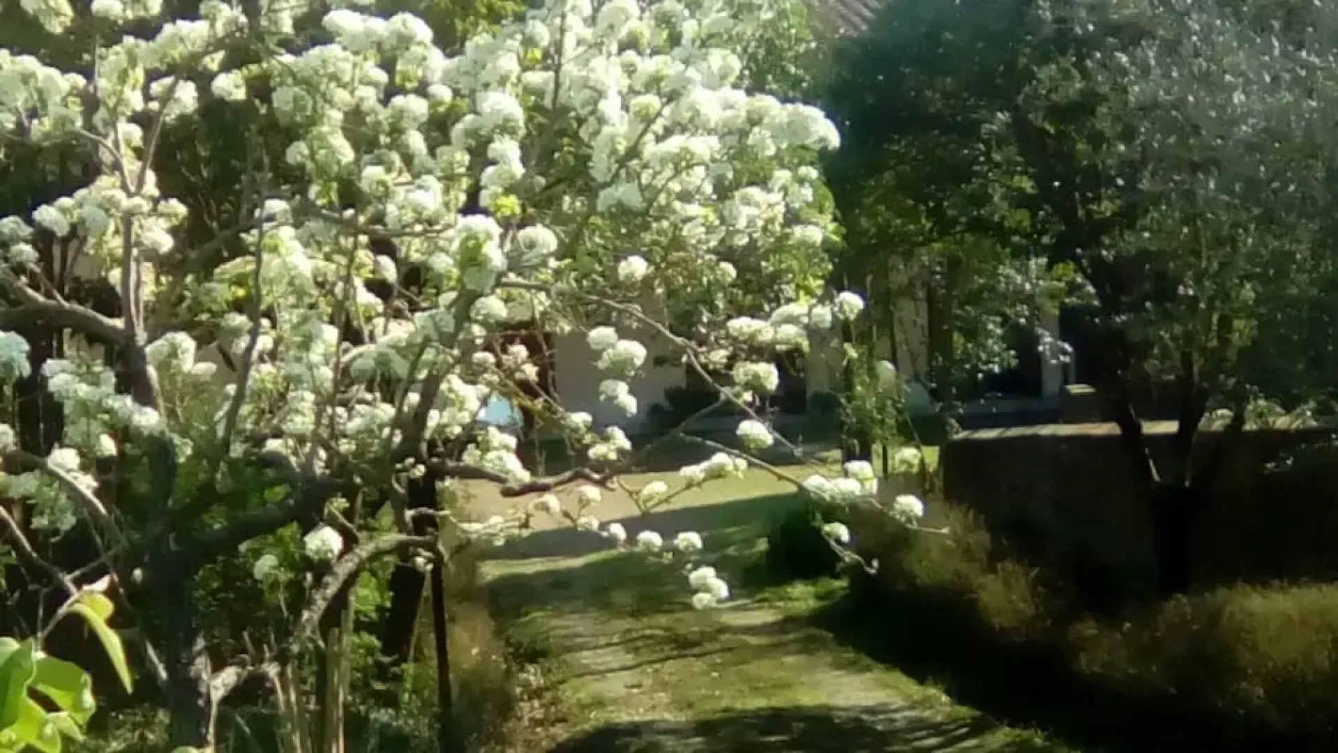 Agriturismo I due Falcetti