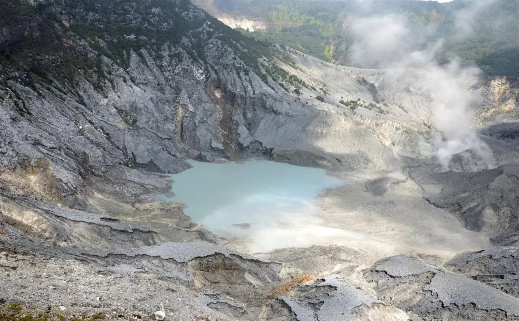 Villa Octavia Lembang