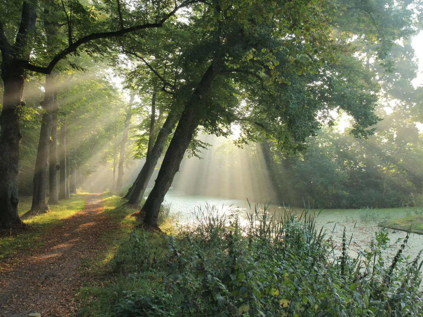 Unique Studio on Large Estate With sea View