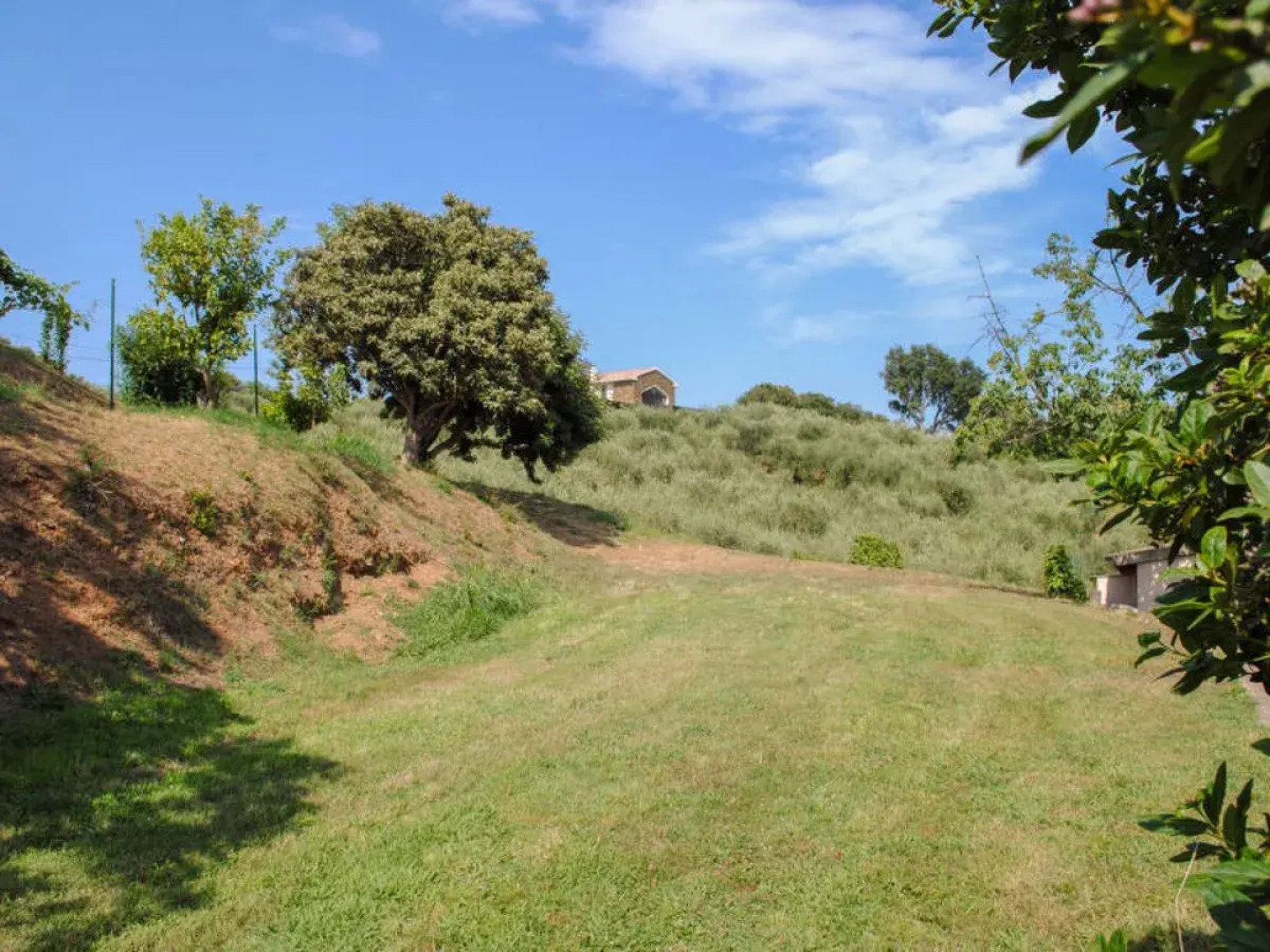 Rutili - Josee (CTN255)