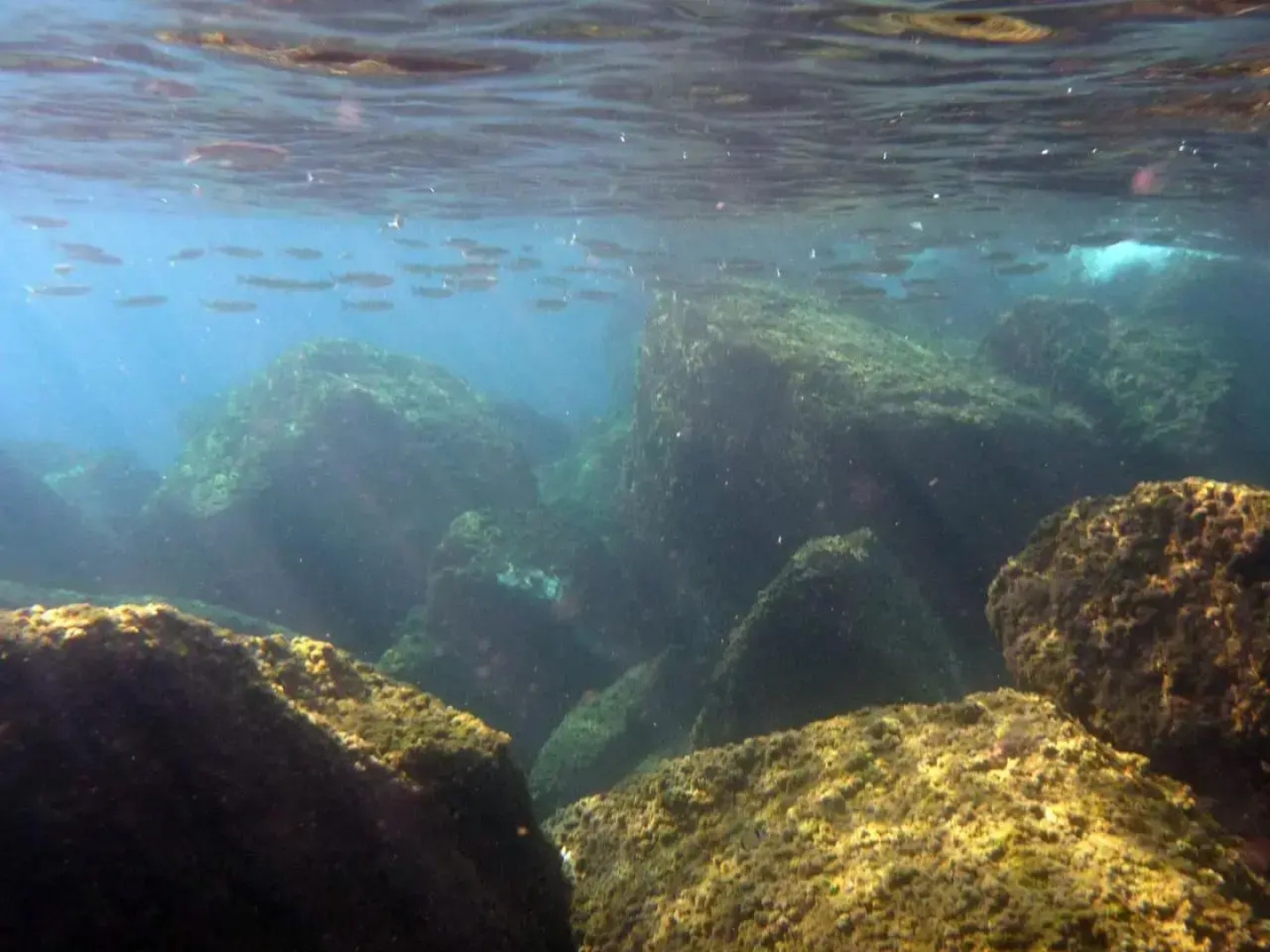 Appartamenti La Quiete