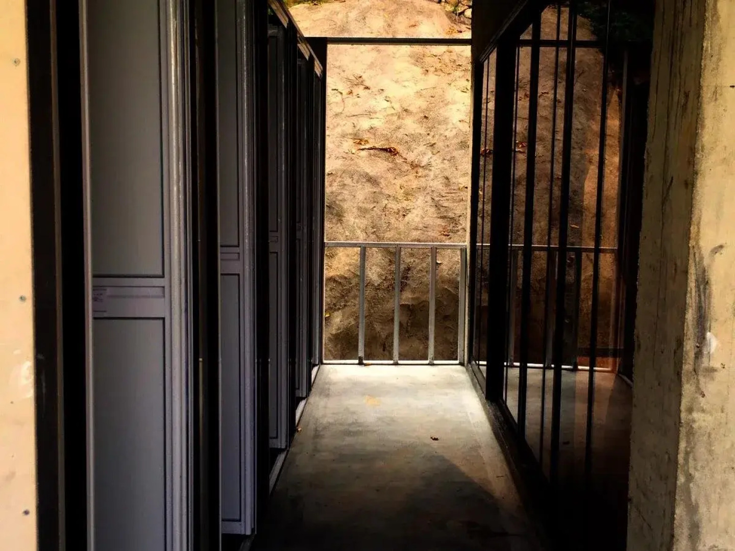 Bao Sheng Durian Farm