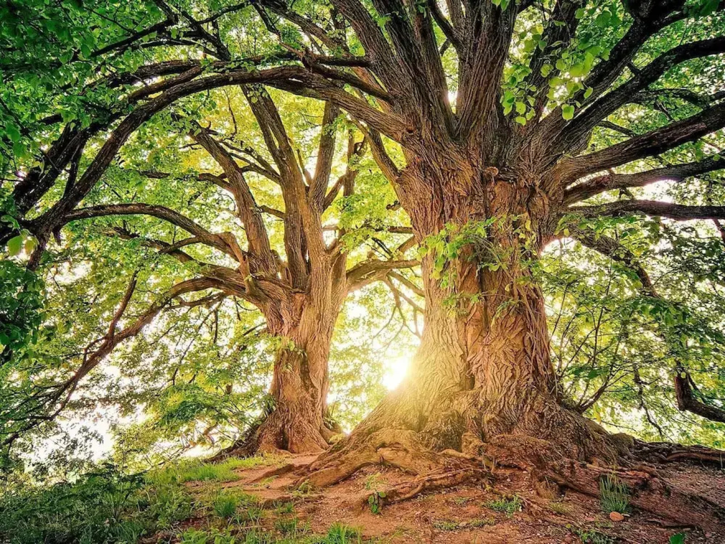 6 Person Holiday Home in Blentarp-by Traum