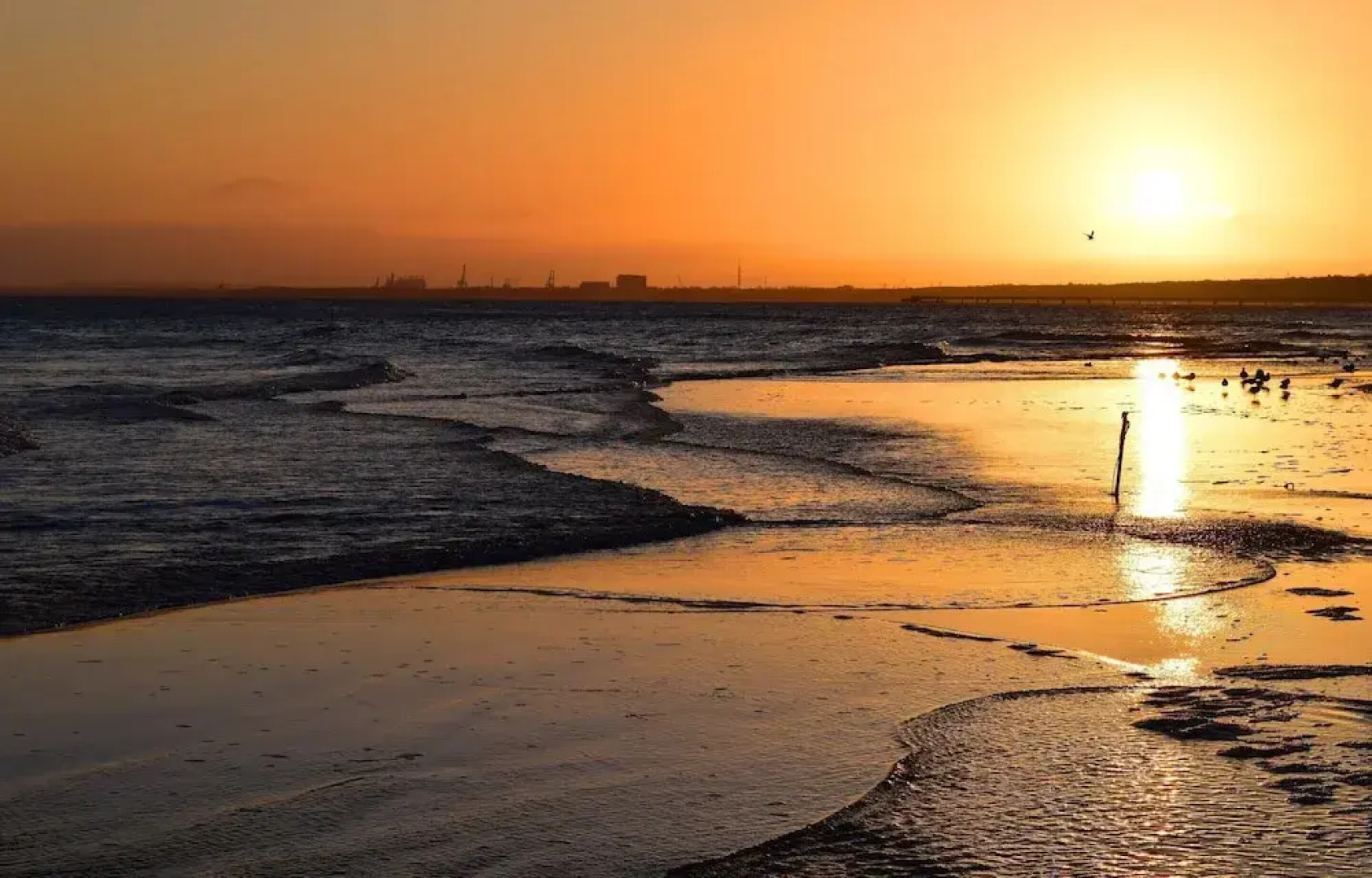 Doppelhaushalfte Strandhaus II in Trassenheide