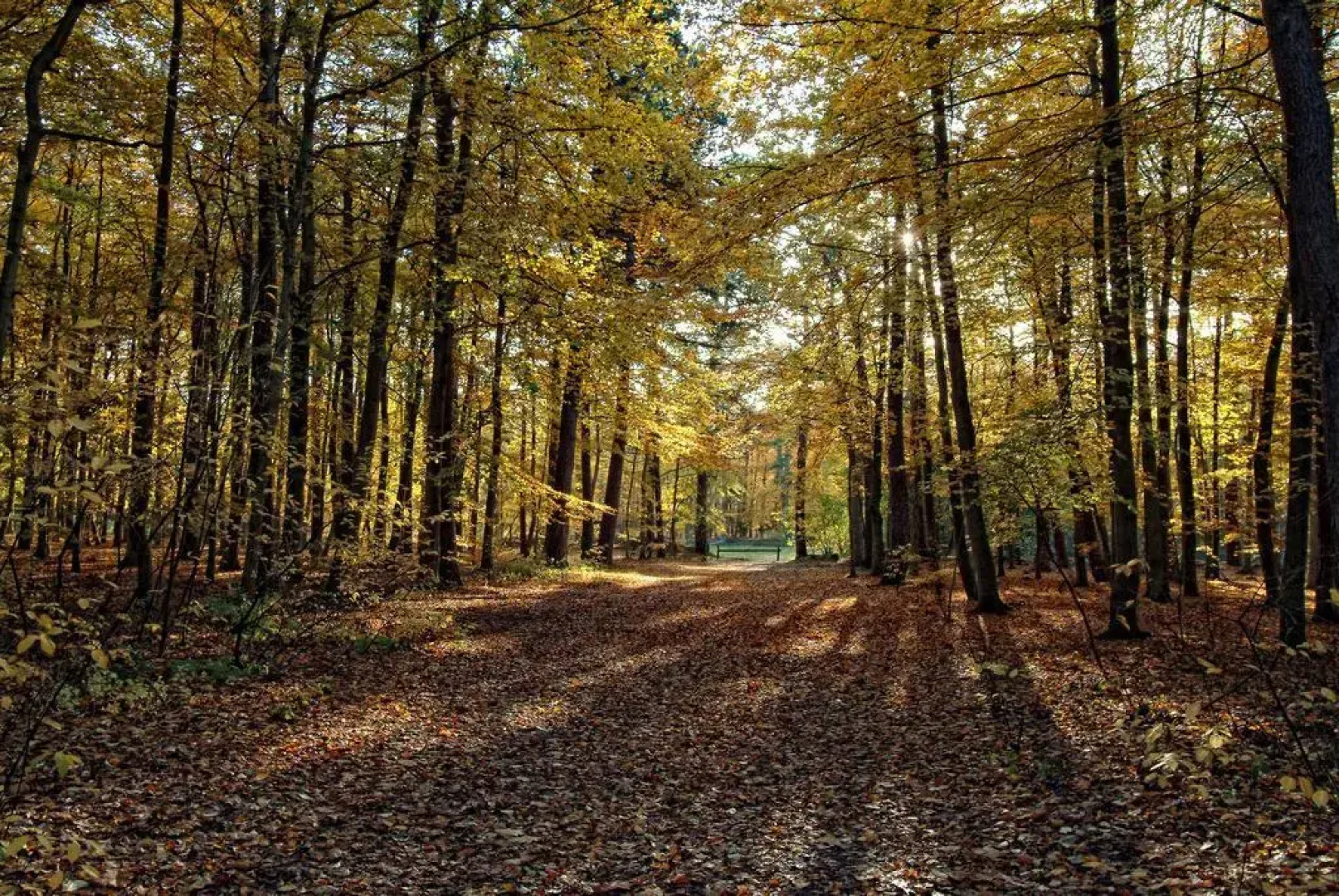 Van der Valk Hotel Texel