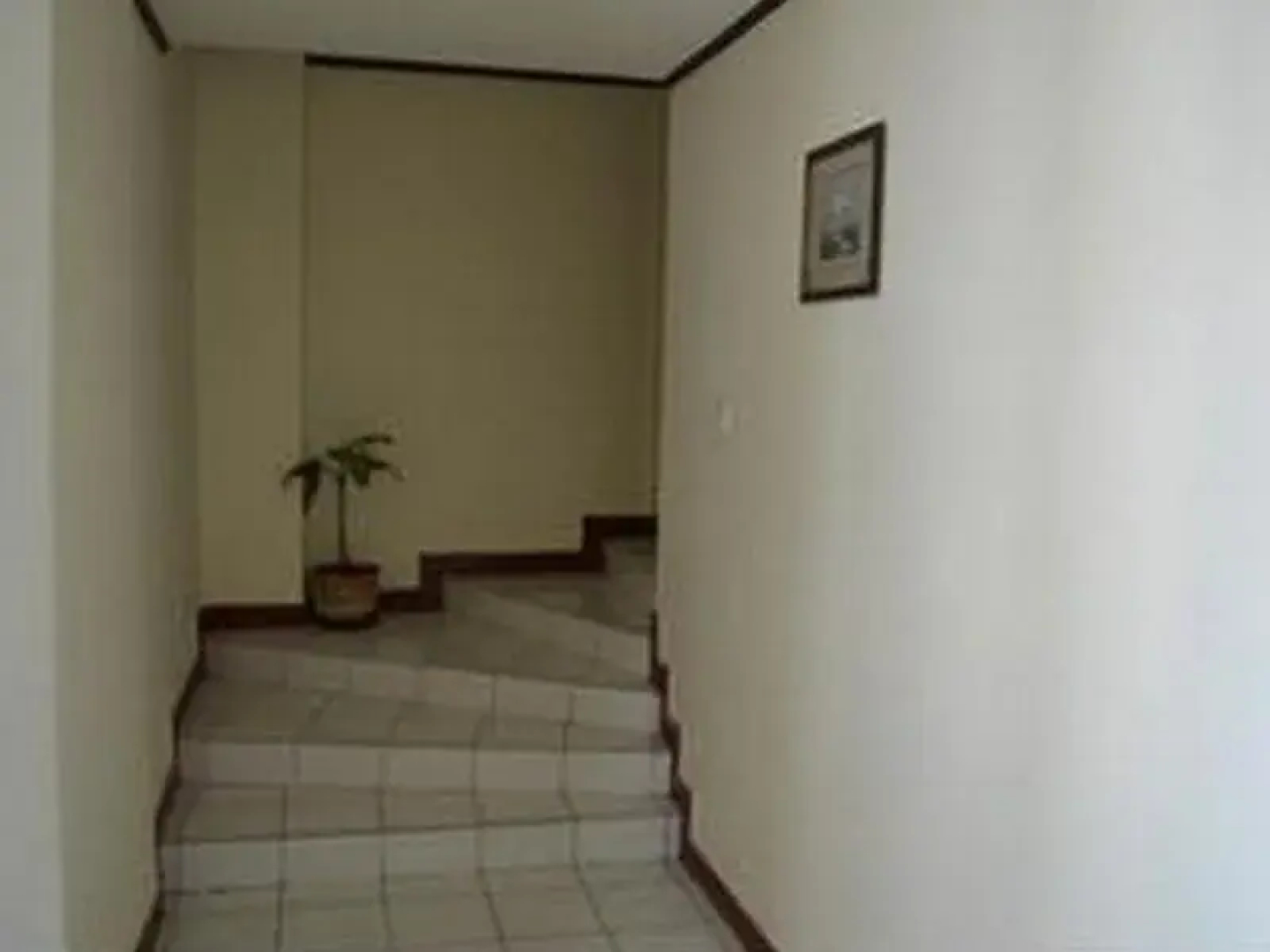 House of the Laughing Bear