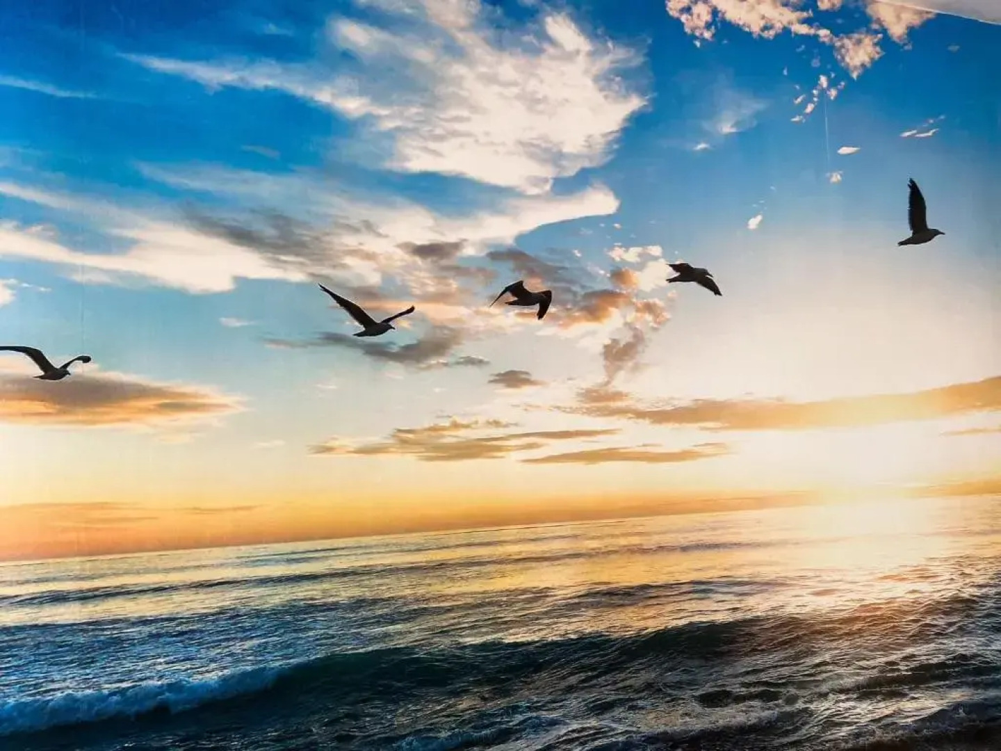 Appartement Westkapelle dichtbij strand WE02