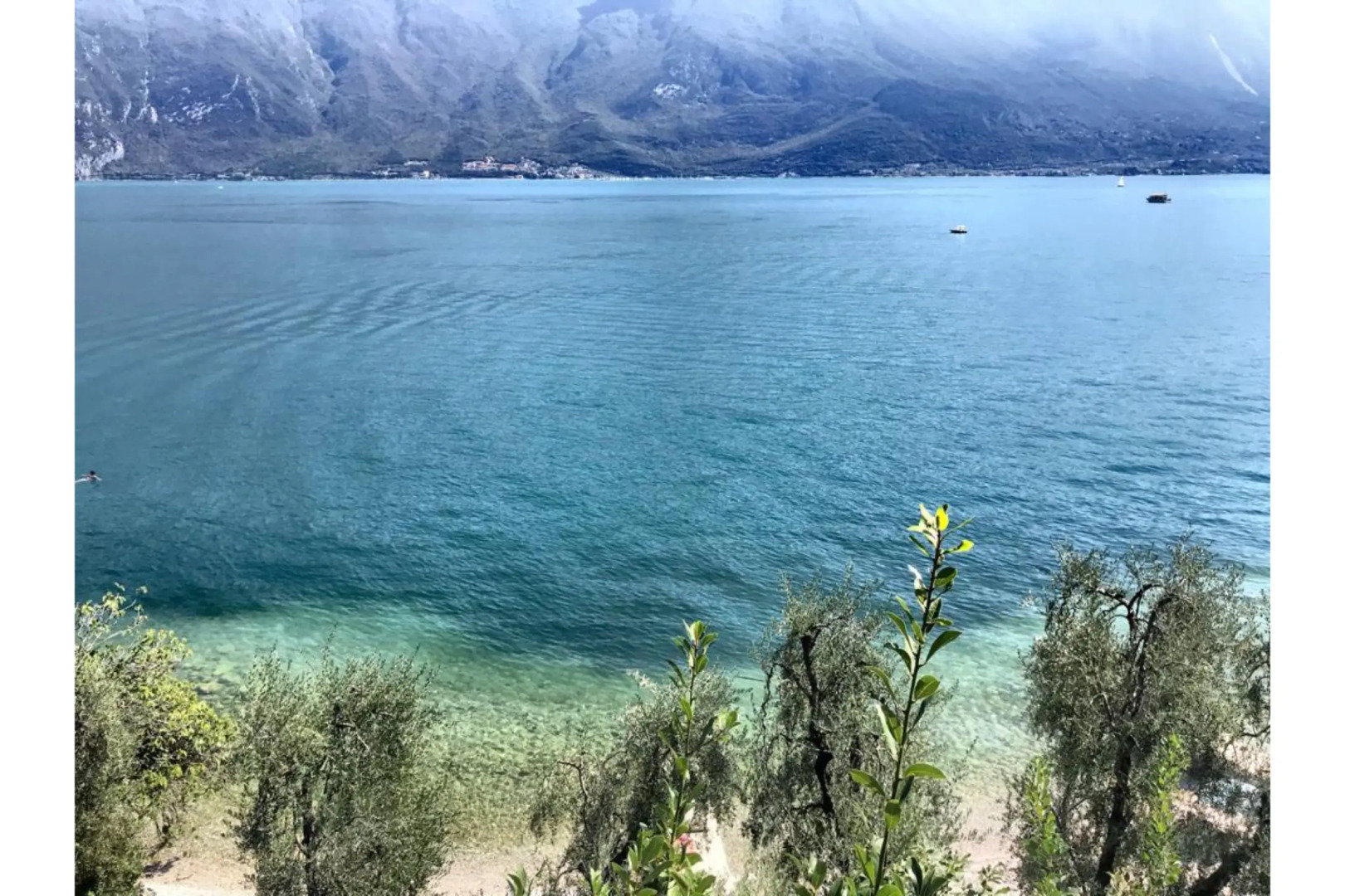 Appartamento Magnolia