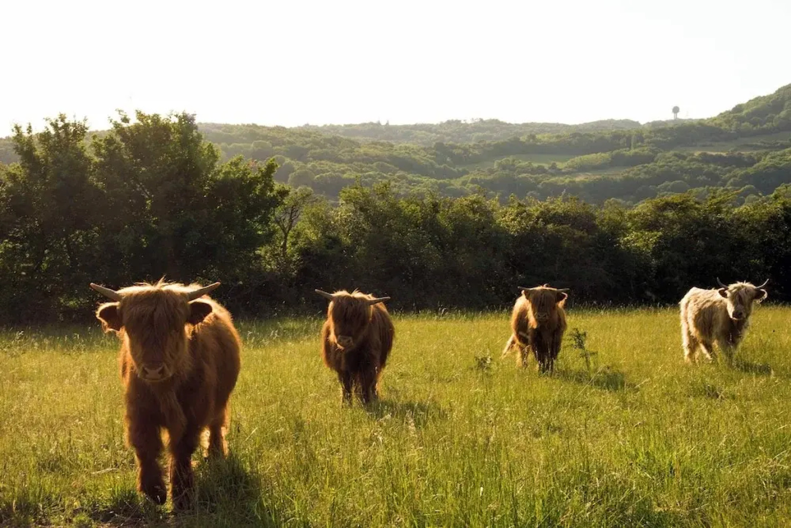 Domaine Les Lanternes
