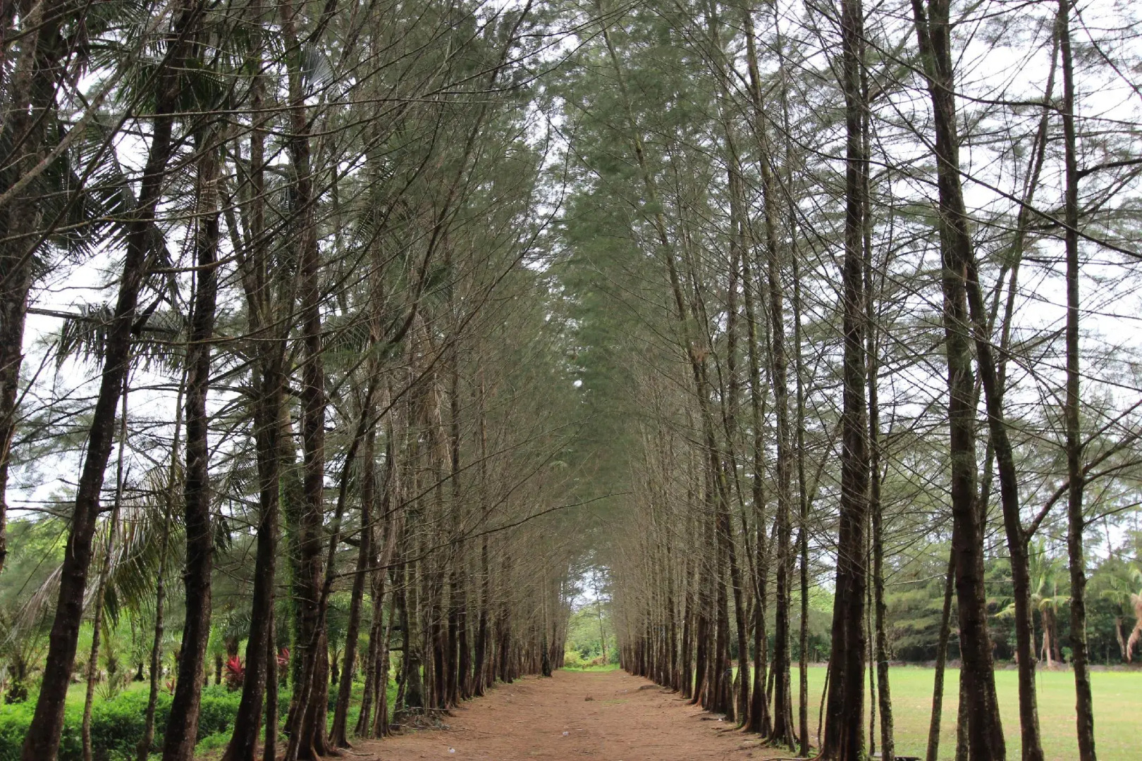 JHL Solitaire Gading Serpong