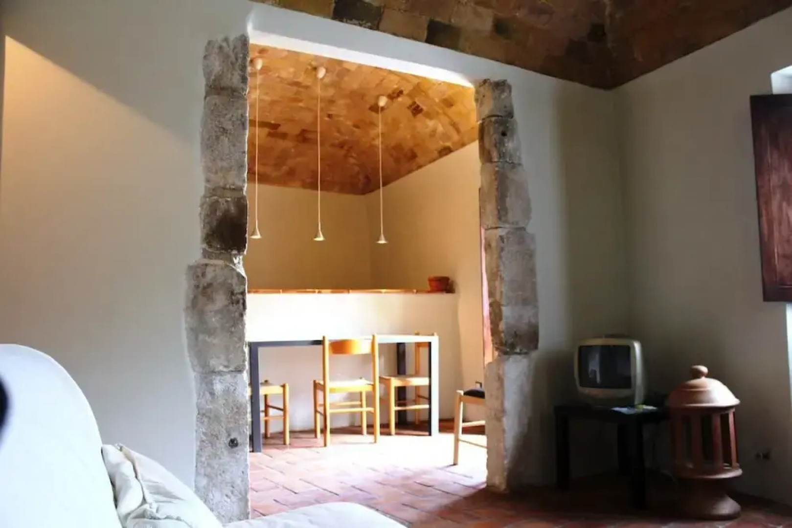 Orso - Parco Nazionale d'Abruzzo