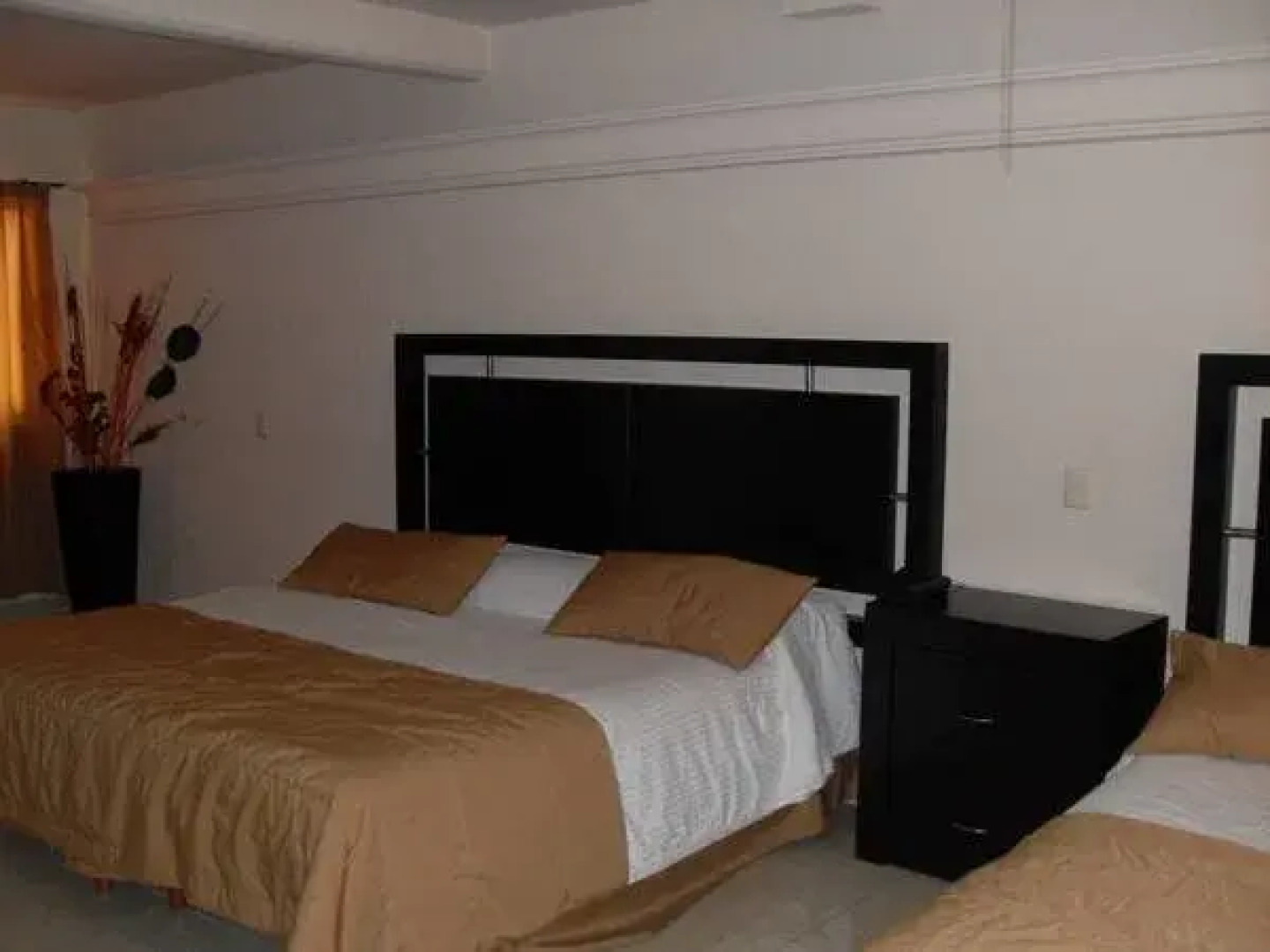 Hotel Grand Regency Express Minatitlan